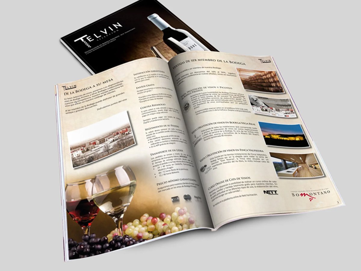 Proyecto editorial