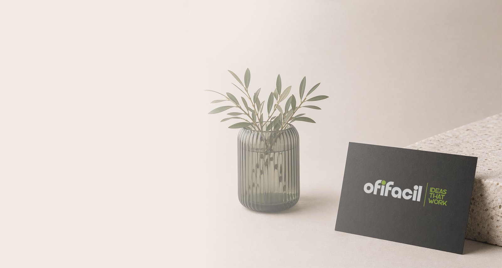 Servicios de branding, packaging, editorial, web, fotografia, vídeo y XML JATS de Ofifacil