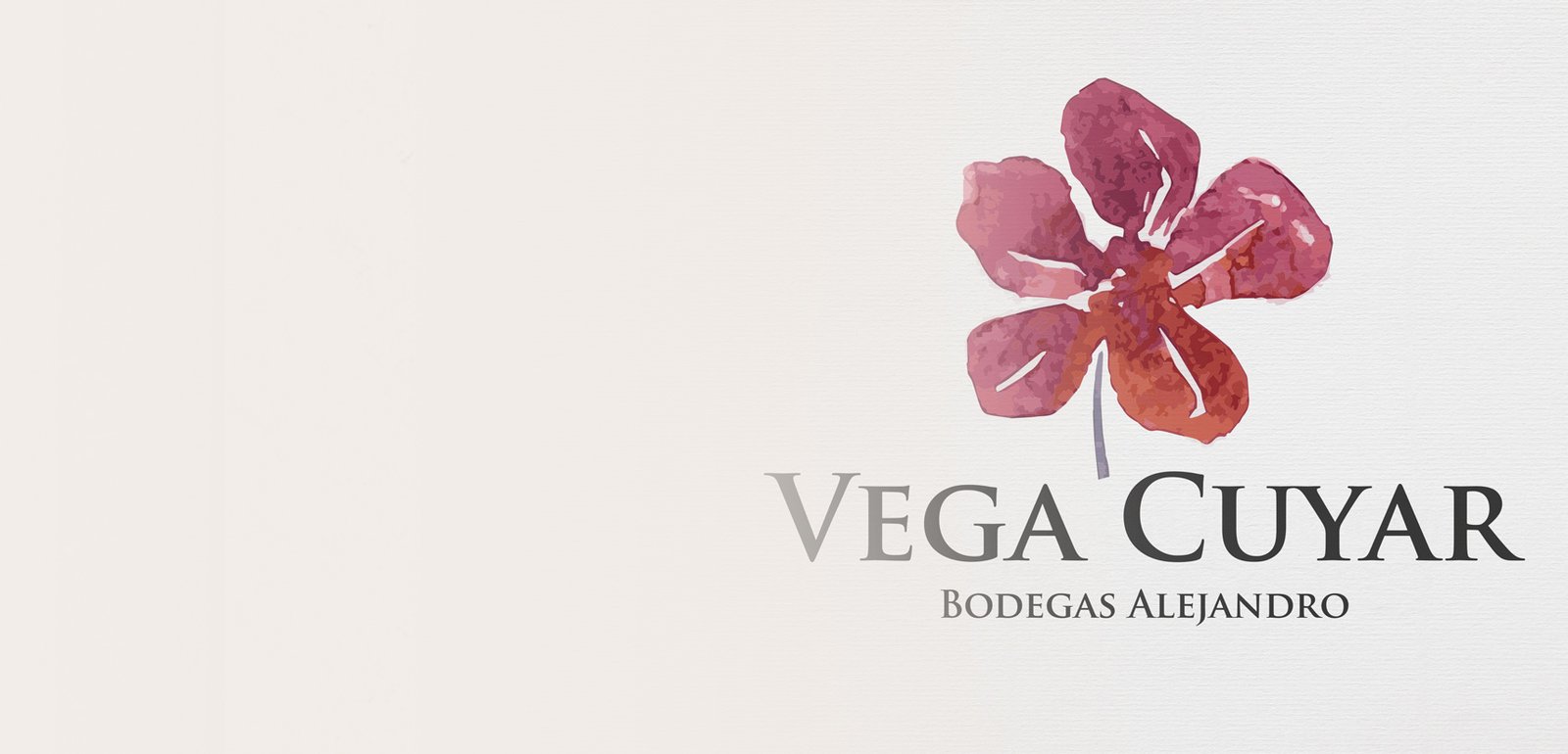 Diseño de etiquetas y packaging de vino para Vega Cuyar