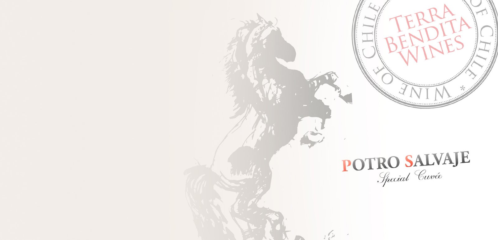 Diseño de etiquetas y packaging de vino para Potro Salvaje Chile