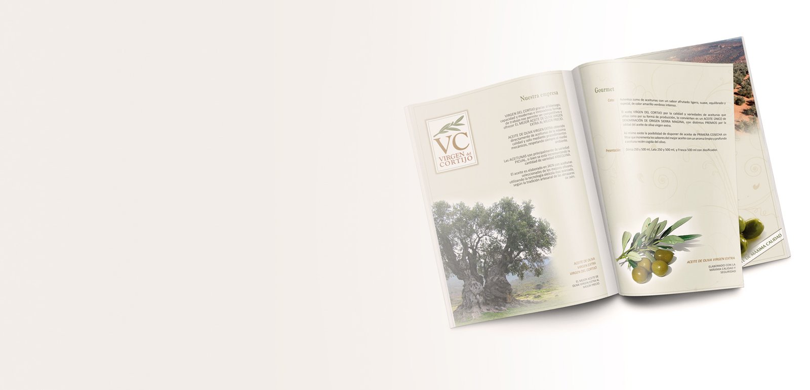 Diseño editorial y maquetación de catálogo para catálogo aceite oliva virgen extra