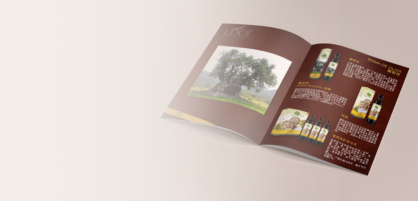 Diseño editorial y maquetación de catálogo para RDO1