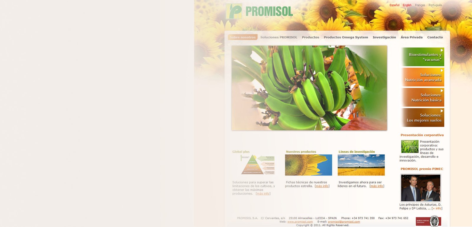 Website design project for Promisol