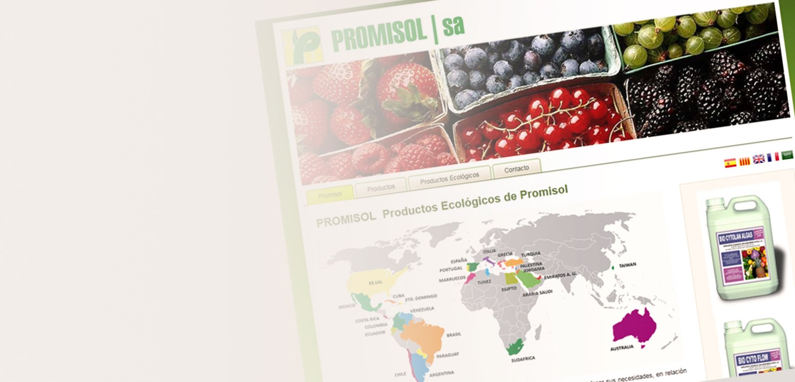 Diseño de página web para Promisol