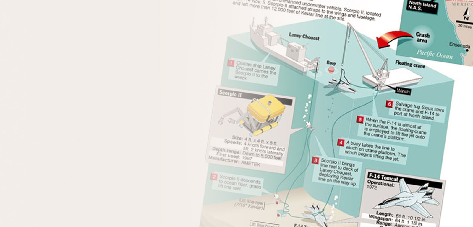 Ideas creativas de infografías descriptivas