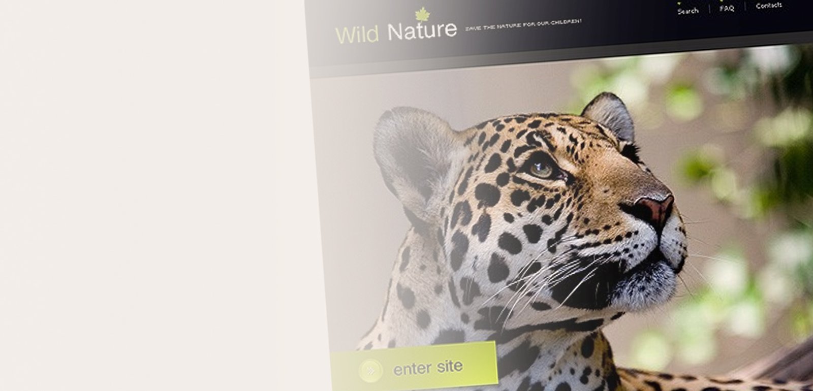 Ideas creativas para diseño web de animales y mascotas