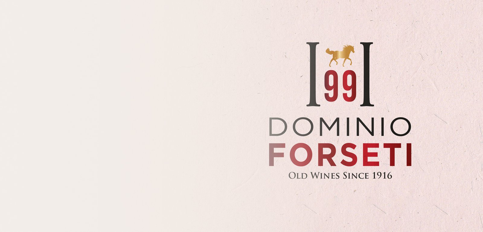 Visual identity design for Dominio Forseti