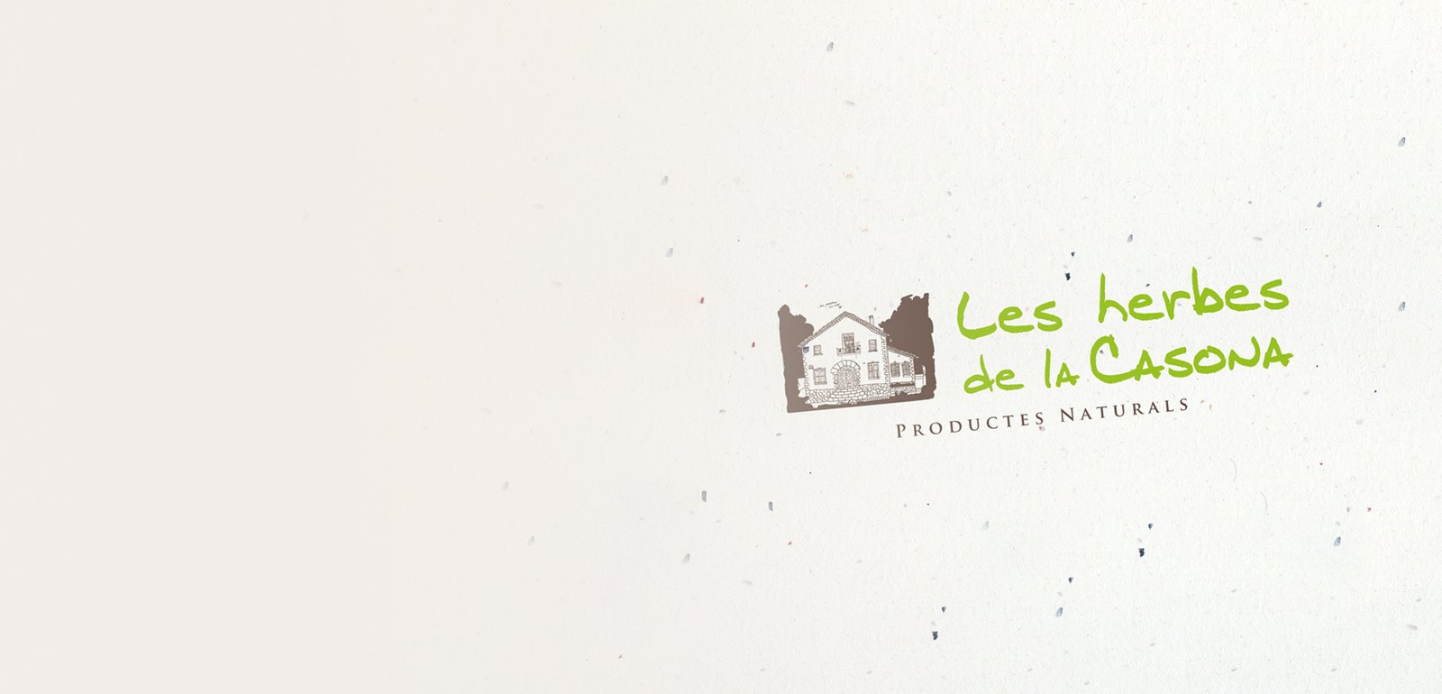 Creación de diseño de logo y anuncios corporativos para tienda de productos naturales y ecológicos
