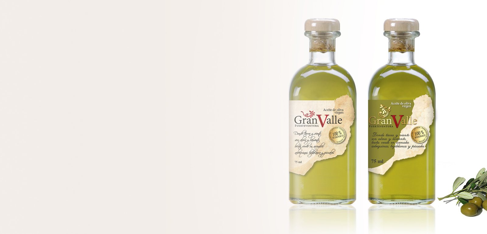 Gran Valle