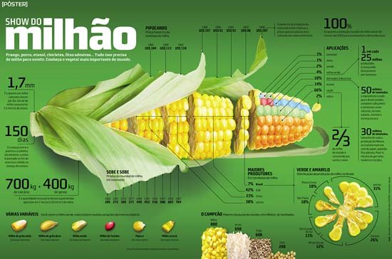 Ideas para crear hacer diseñar infografias periodisticas periodicos diarios explicar graficamente noticias