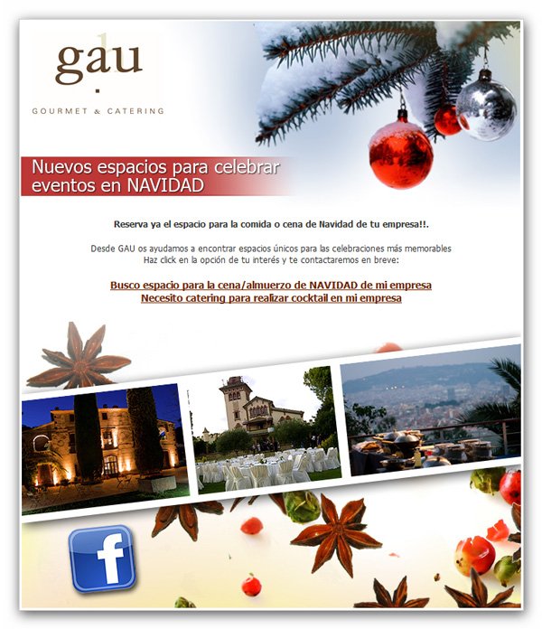 Newsletter disenada para Gau Gourmet