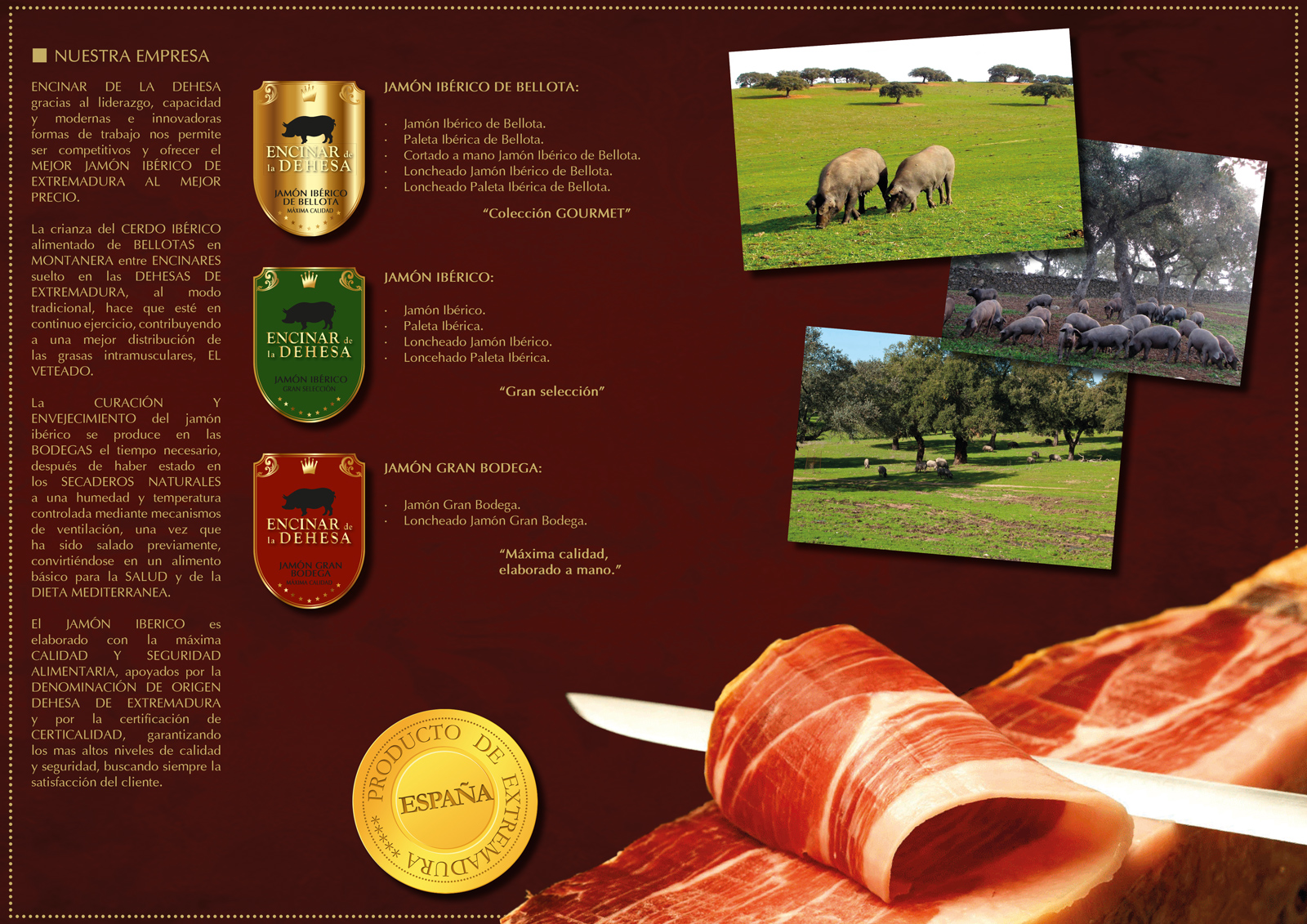 Layout and creative design of corporate catalog of products for export of Iberian acorn-fed ham