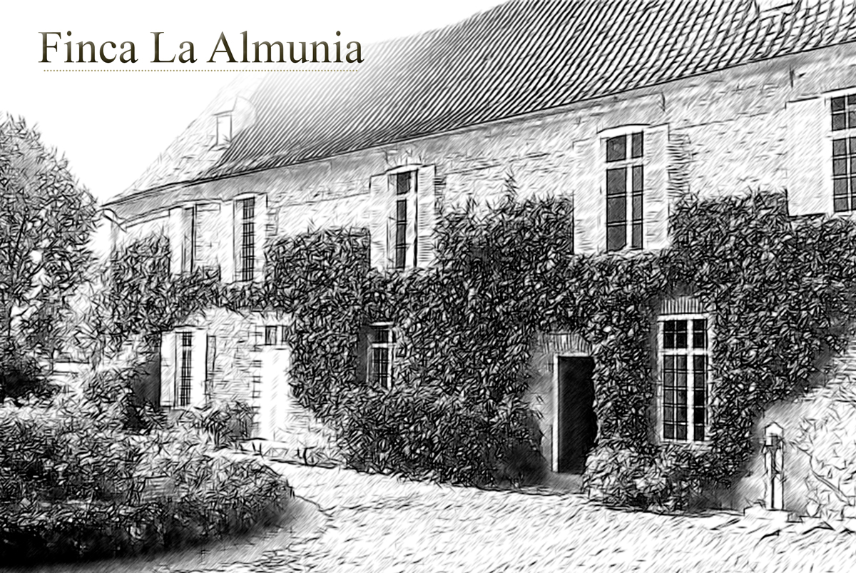 Portfolio of graphic and creative design works wine labels and packaging for Spanish wine FINCA LA ALMUNIA