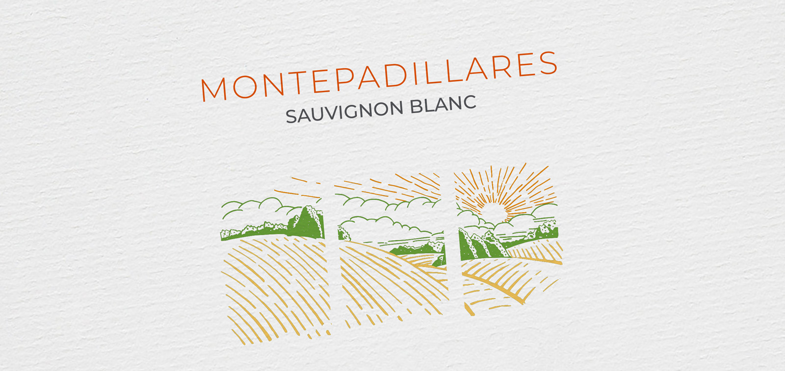 Graphic and creative design of wine labels and packaging for MONTEPADILLARES