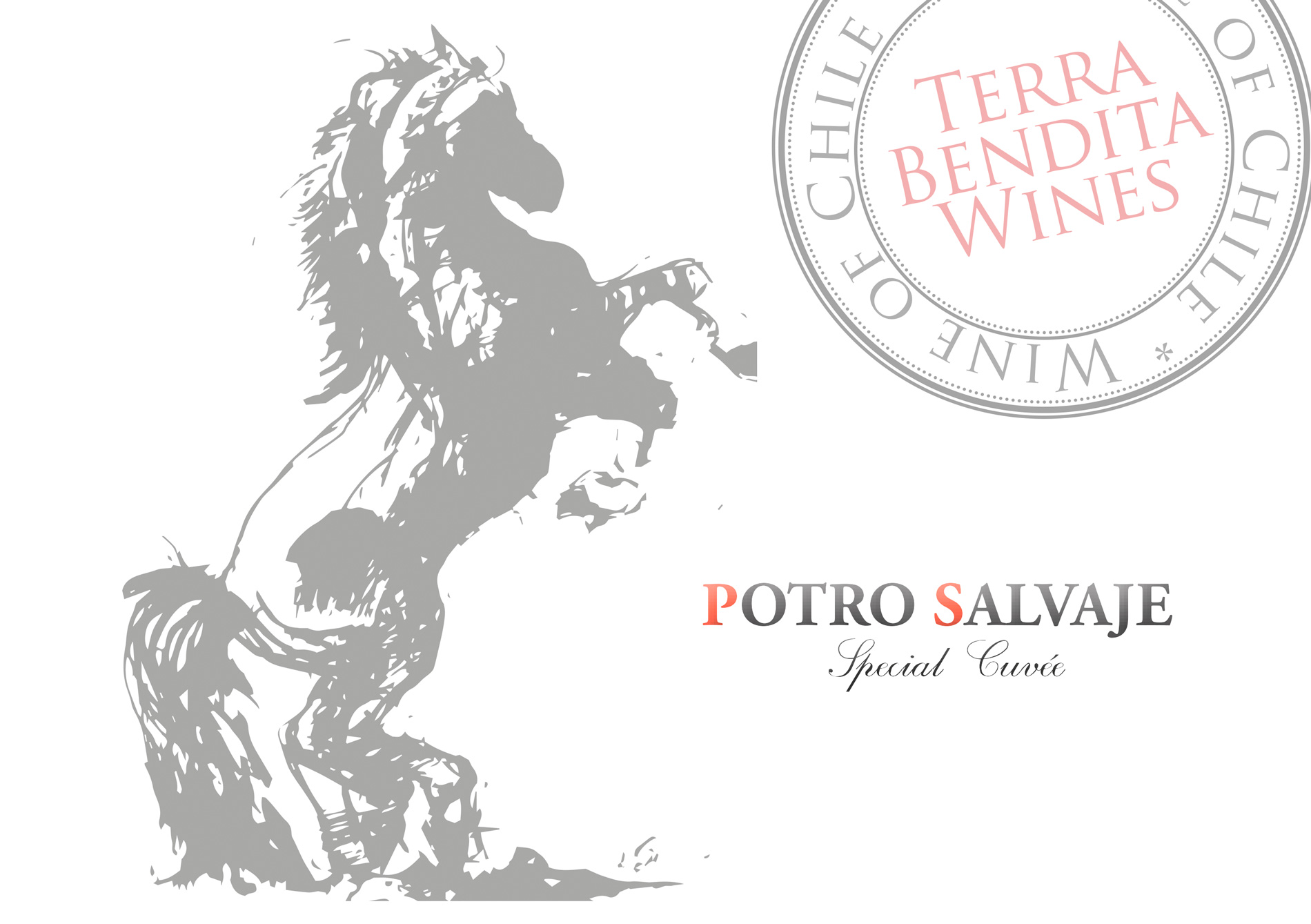 Portfolio of graphic and creative design works on wine labels and packaging for Chilean wine: POTRO SALVAJE