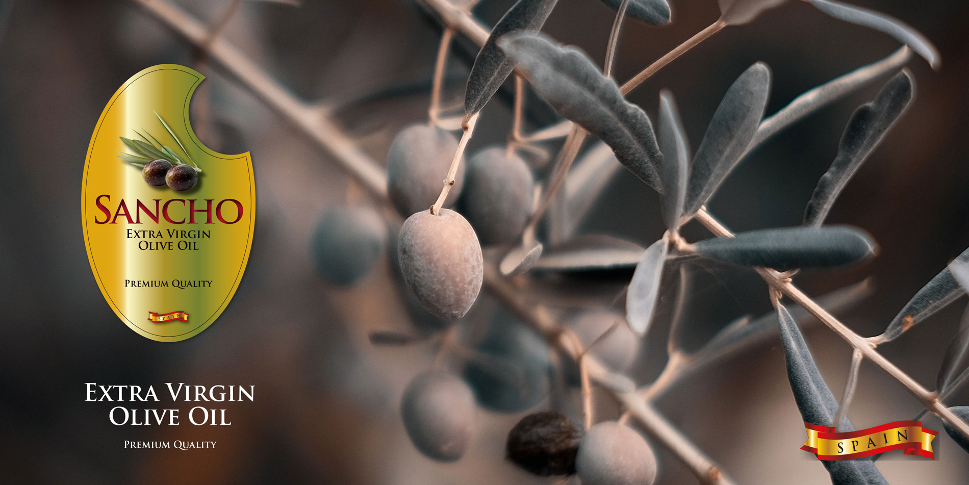 Diseño gráfico y creativo de etiquetas de aceite de oliva virgen extra para la marca SANCHO