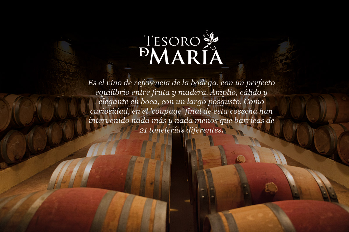 Portfolio of graphic and creative design works wine labels and packaging for Spanish wine cellar TESORO DE MARIA