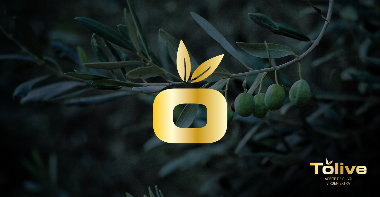 Diseño gráfico y creativo de etiquetas de aceite de oliva virgen extra TOLIVE