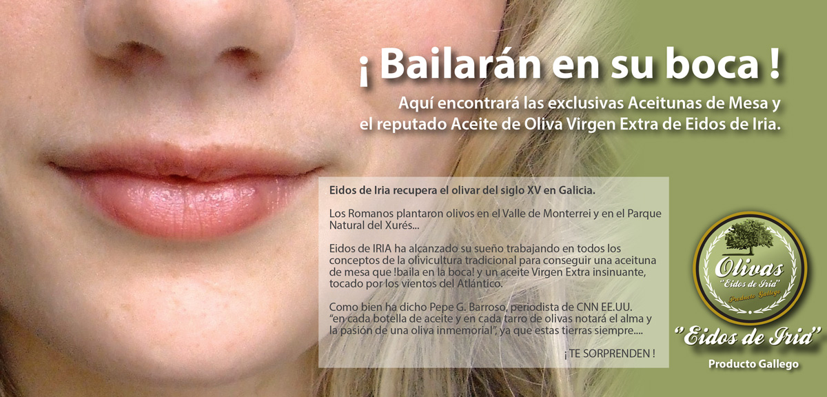 Diseño gráfico y creativo de flyers, folletos, dípticos y trípticos para campaña de publicidad para productora de aceite de oliva virgen extra