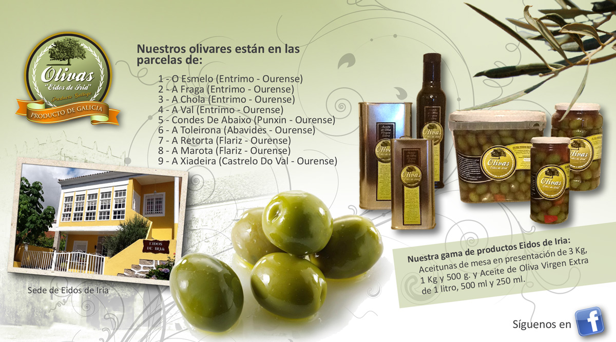 Diseño gráfico y creativo de flyers, folletos, dípticos y trípticos para campaña de publicidad para aceite de oliva virgen extra