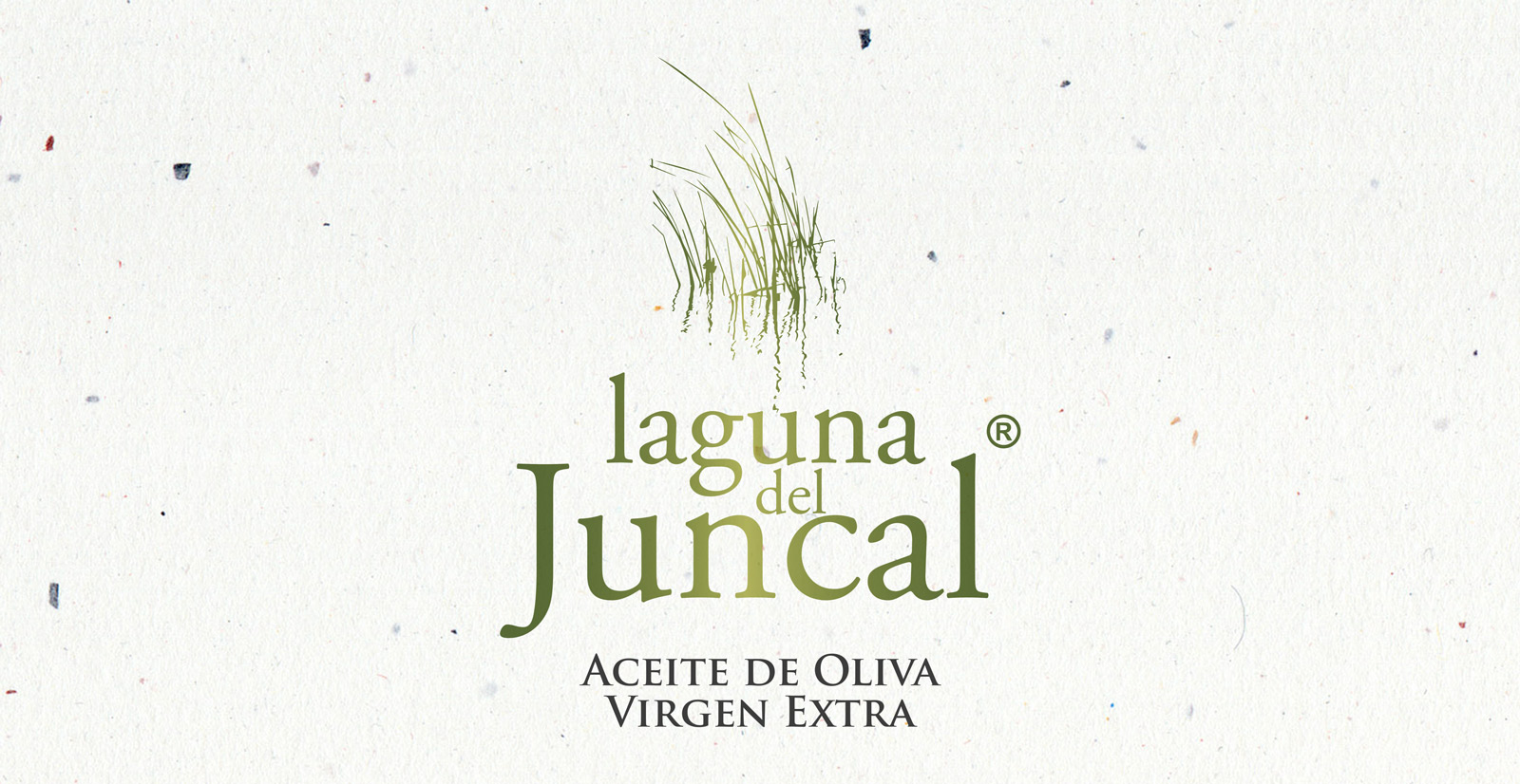 Diseño de logo para productora y embotelladora de aceite de oliva virgen extra en Argentina