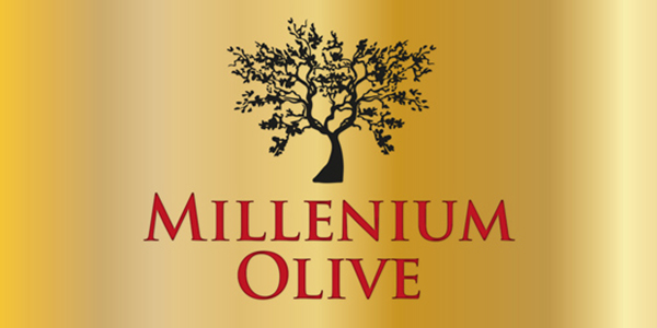 Portfolio of creative graphic design works of logo creation and corporate brand for exporter of extra virgin Spanish olive oil in Europe: MILLENIUM OLIVE OIL