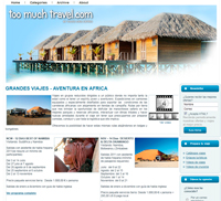 Website design for travel agencies, web programming travel agencies