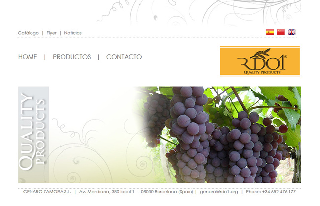 Trabajos diseño página web maquetación web diseño creativo empresas productoras de aceite de oliva virgen extra, exportadores de jamón ibérico y productos gourmet, diseño web exportadores a China